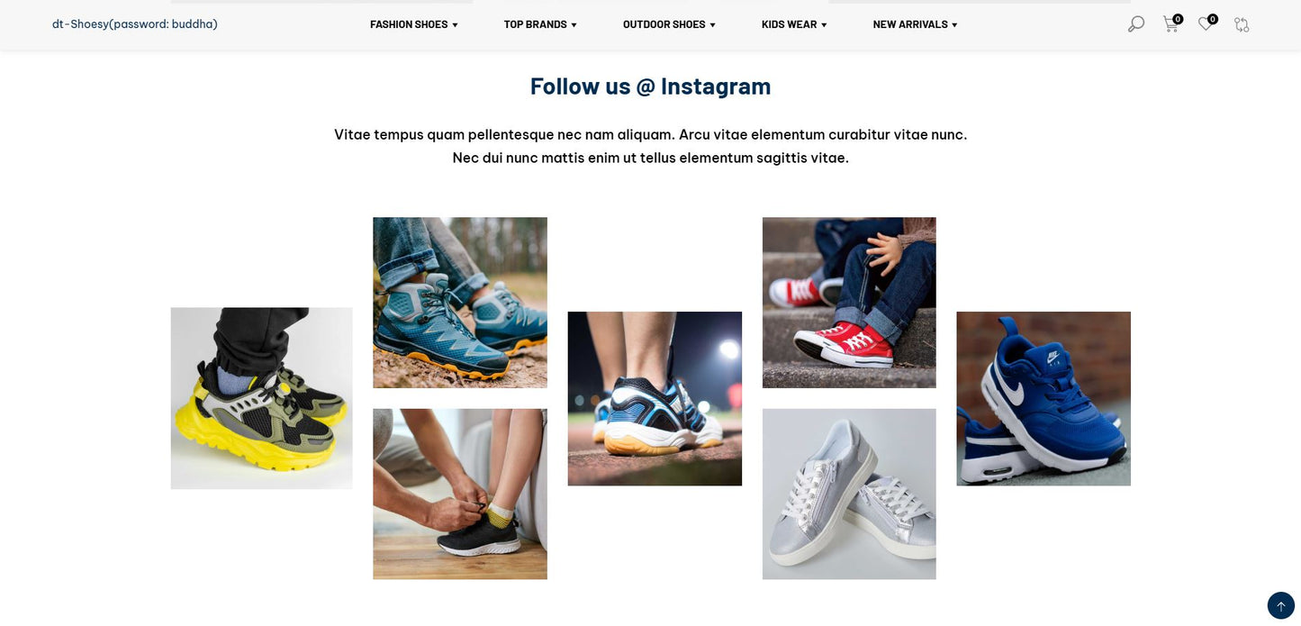 Shoesy - Landing page